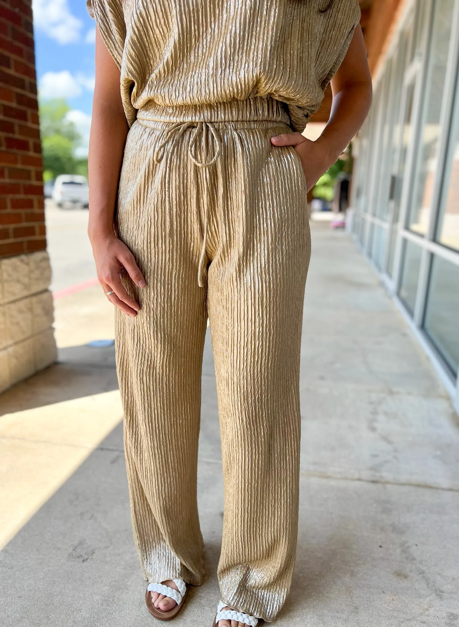 Flawless Beauty Taupe/Gold Crop Top and Flowy Pants Set
