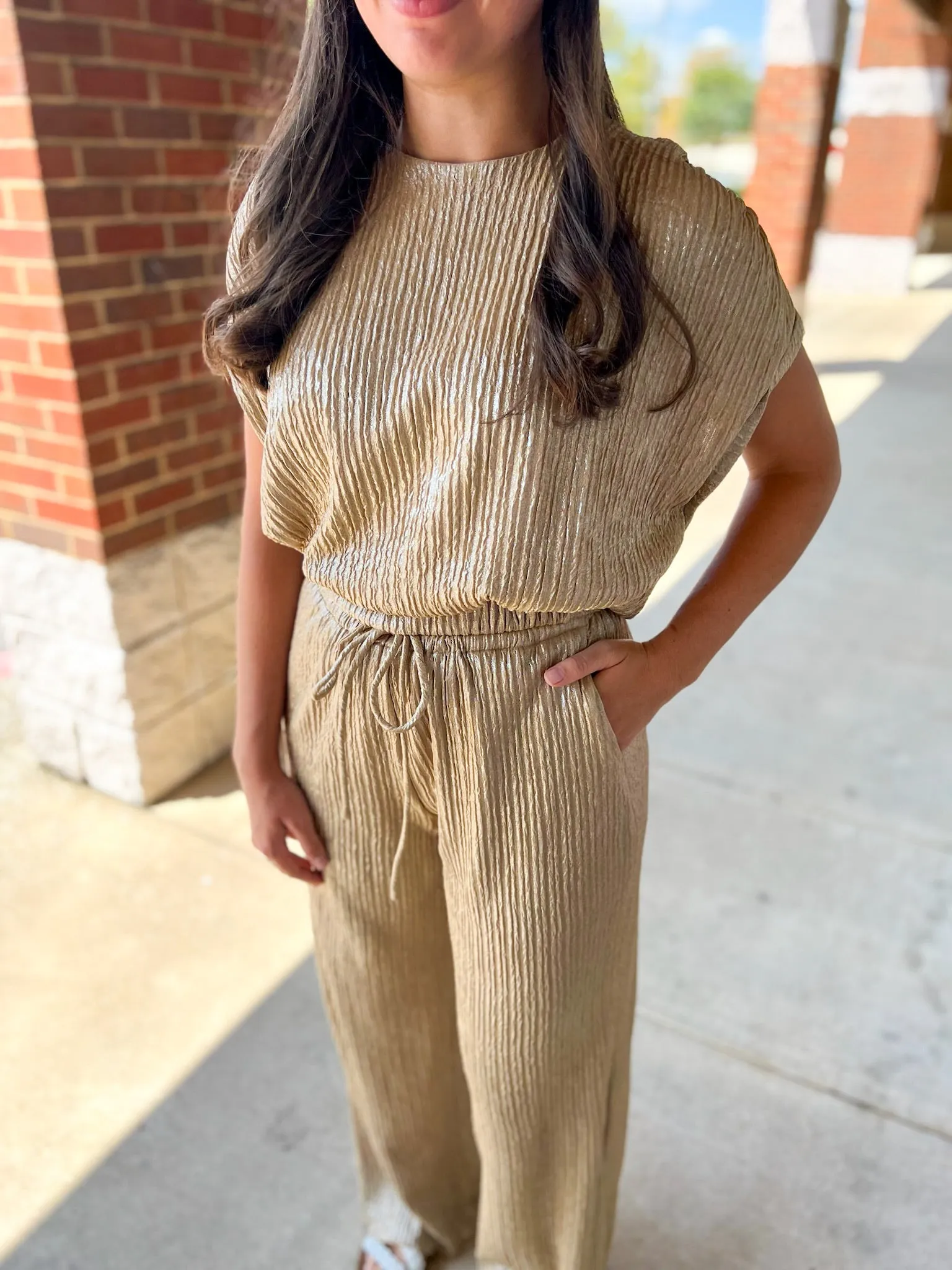 Flawless Beauty Taupe/Gold Crop Top and Flowy Pants Set